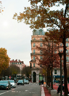 Rue animée avec arbres aux feuilles d'automne et architecture urbaine.