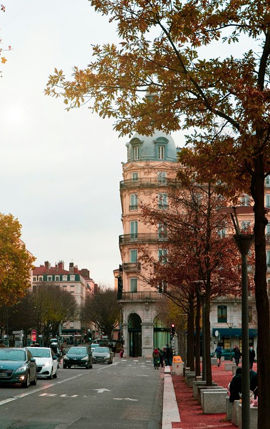 Une rue animée avec des arbres en automne et bâtiments.